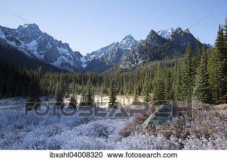 "Hoar frost on the Stuart Lake Trail in The Enchantments, Washington, United States, North America" View Large Photo Image Stock Image - "Hoar frost on the Stuart Lake Trail in The Enchantments, Washington, United States, North America". Fotosearch