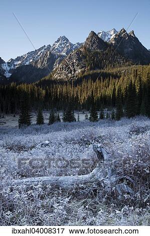 "Hoar frost on the Stuart Lake Trail in The Enchantments, Washington, United States, North America" View Large Photo Image Stock Photo - "Hoar frost on the Stuart Lake Trail in The Enchantments, Washington, United States, North America". Fotosearch