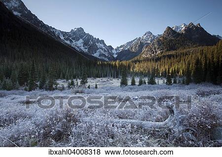 "Hoar frost on the Stuart Lake Trail in The Enchantments, Washington, United States, North America" View Large Photo Image Stock Photo - "Hoar frost on the Stuart Lake Trail in The Enchantments, Washington, United States, North America". Fotosearch