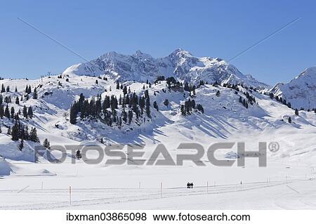 "Hochtannberg Pass with the mountains Butzenspitze, Kleinspitze and Braunarlspitze, Lechquellen Mountains, Warth, Bregenz Forest, Vorarlberg, Austria, Europe" View Large Photo Image Stock Photo - "Hochtannberg Pass with the mountains Butzenspitze, Kleinspitze and Braunarlspitze, Lechquellen Mountains, Warth, Bregenz Forest, Vorarlberg, Austria, Europe". Fotosearch