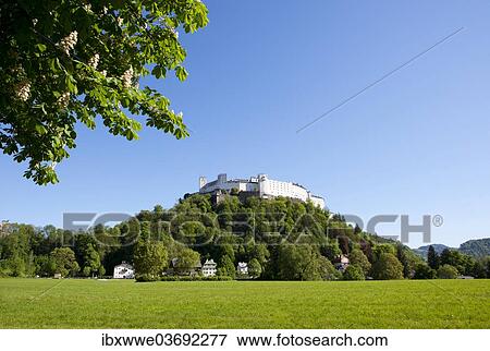 "Hohensalzburg Castle, Nonntal valley, Salzburg, Austria, Europe" View Large Photo Image Stock Photo - "Hohensalzburg Castle, Nonntal valley, Salzburg, Austria, Europe". Fotosearch