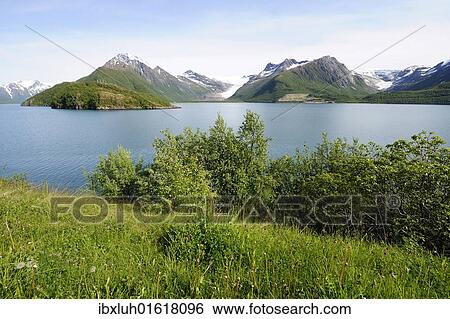 "Holandsfjord with glacier Svartisen, Northern Norway, Norway, Scandinavia, Europe" View Large Photo Image Stock Photograph - "Holandsfjord with glacier Svartisen, Northern Norway, Norway, Scandinavia, Europe". Fotosearch