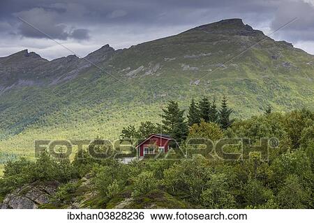 "Holiday cottage with a small forest near Eidsfjord, Langoya, Vesteralen, Nordland, Norway, Europe" View Large Photo Image Stock Photograph - "Holiday cottage with a small forest near Eidsfjord, Langoya, Vesteralen, Nordland, Norway, Europe". Fotosearch