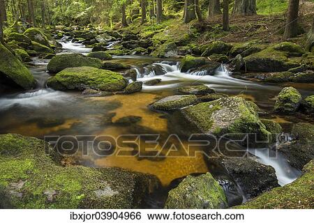 "Hollfall brook, Arbesbach stream, Pretrobruck, Waldviertel or Forest Quarter, Lower Austria, Austria, Europe" View Large Photo Image Stock Photograph - "Hollfall brook, Arbesbach stream, Pretrobruck, Waldviertel or Forest Quarter, Lower Austria, Austria, Europe". Fotosearch