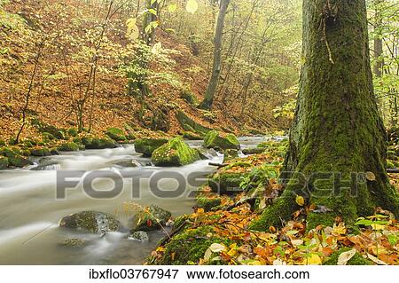 "Holzbach stream in the Holzbachschlucht gorge, Westerwald, Hesse, Germany, Europe" View Large Photo Image Stock Photo - "Holzbach stream in the Holzbachschlucht gorge, Westerwald, Hesse, Germany, Europe". Fotosearch