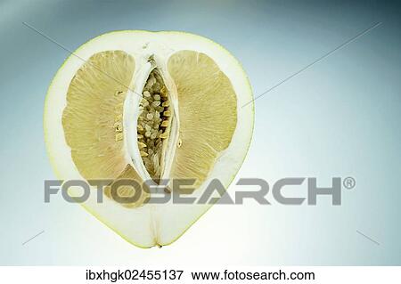 "Honey Pomelo (Citrus maxima, Citrus grandis), cut in half" View Large Photo Image Stock Photo - "Honey Pomelo (Citrus maxima, Citrus grandis), cut in half". Fotosearch