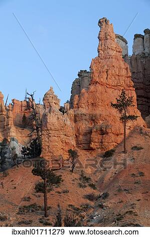 "Hoodoos, Bryce Canyon National Park, Bryce, Utah, USA, America" View Large Photo Image Stock Photo - "Hoodoos, Bryce Canyon National Park, Bryce, Utah, USA, America". Fotosearch