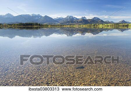 "Hopfensee lake, near Fussen, East Allgau, Bavaria, Germany, Europe" View Large Photo Image Stock Image - "Hopfensee lake, near Fussen, East Allgau, Bavaria, Germany, Europe". Fotosearch