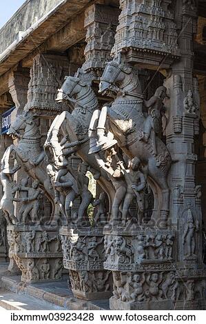"Horse statues, temple city of Srirangam, Tiruchirappalli, Tamil Nadu, India, Asia" View Large Photo Image Stock Photo - "Horse statues, temple city of Srirangam, Tiruchirappalli, Tamil Nadu, India, Asia". Fotosearch