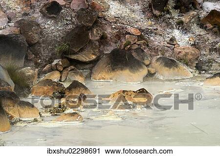 "Hot mud springs, Rincon de la Vieja National Park, Guanacaste, Costa Rica, South America, North America" View Large Photo Image Stock Image - "Hot mud springs, Rincon de la Vieja National Park, Guanacaste, Costa Rica, South America, North America". Fotosearch