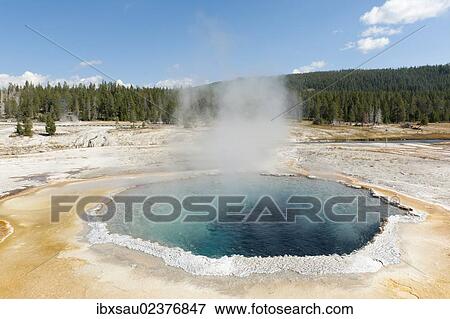 "Hot spring, boiling water, steam, Crested Pool, Castle-Grand Area, Upper Geyser Basin, Yellowstone National Park, Wyoming, Western United States, USA, United States of America, North America" View Large Photo Image Stock Photo - "Hot spring, boiling water, steam, Crested Pool, Castle-Grand Area, Upper Geyser Basin, Yellowstone National Park, Wyoming, Western United States, USA, United States of America, North America". Fotosearch