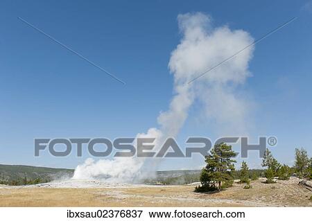 "Hot spring, dwindling eruption, geyser, steam against a blue sky, Old Faithful, Upper Geyser Basin, Yellowstone National Park, Wyoming, Western United States, USA, United States of America, North America" View Large Photo Image Stock Photo - "Hot spring, dwindling eruption, geyser, steam against a blue sky, Old Faithful, Upper Geyser Basin, Yellowstone National Park, Wyoming, Western United States, USA, United States of America, North America". Fotosearch