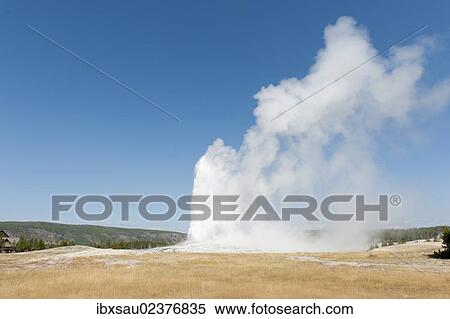 "Hot spring, eruption, geyser, water fountain, steam against a blue sky, Old Faithful, Upper Geyser Basin, Yellowstone National Park, Wyoming, Western United States, USA, United States of America, North America" View Large Photo Image Stock Photography - "Hot spring, eruption, geyser, water fountain, steam against a blue sky, Old Faithful, Upper Geyser Basin, Yellowstone National Park, Wyoming, Western United States, USA, United States of America, North America". Fotosearch