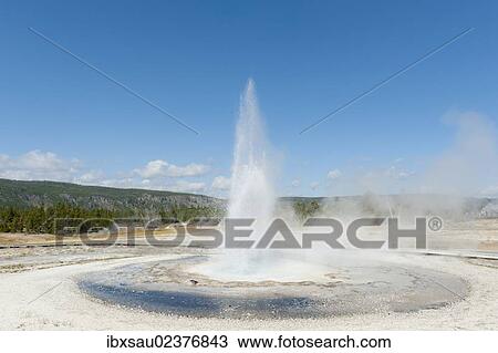 "Hot spring, water fountain, eruption, geyser, Sawmill Geyser, Castle-Grand Area, Upper Geyser Basin, Yellowstone National Park, Wyoming, Western United States, USA, United States of America, North America" View Large Photo Image Stock Image - "Hot spring, water fountain, eruption, geyser, Sawmill Geyser, Castle-Grand Area, Upper Geyser Basin, Yellowstone National Park, Wyoming, Western United States, USA, United States of America, North America". Fotosearch