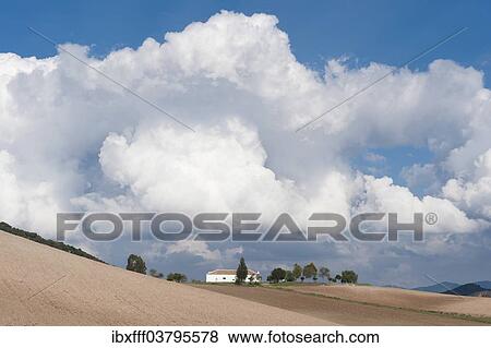 Stock Photo - "House and fields, cloudy sky, Sierra de Cadiz, Andalusia, Spain, Europe". Fotosearch