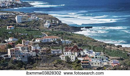 "Houses and banana plantations, Garachico, Tenerife, Canary Islands, Spain, Europe" View Large Photo Image Stock Image - "Houses and banana plantations, Garachico, Tenerife, Canary Islands, Spain, Europe". Fotosearch