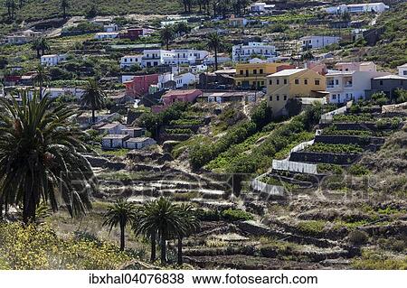 "Houses and terraced fields, El Cercado, La Gomera, Canary Islands, Spain, Europe" View Large Photo Image Stock Photo - "Houses and terraced fields, El Cercado, La Gomera, Canary Islands, Spain, Europe". Fotosearch