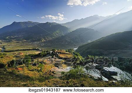 "Houses, rice farmers, green terraced rice paddies, rice paddies near Sapa, Sa Pa, Lao Cai province, northern Vietnam, Vietnam, Southeast Asia, Asia" View Large Photo Image Stock Photo - "Houses, rice farmers, green terraced rice paddies, rice paddies near Sapa, Sa Pa, Lao Cai province, northern Vietnam, Vietnam, Southeast Asia, Asia". Fotosearch