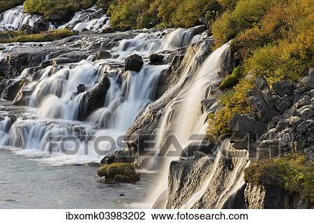 "Hraunfossar, waterfalls of the Hvita river in autumn, near Husafell and Reykholt, Iceland, Europe" View Large Photo Image Stock Image - "Hraunfossar, waterfalls of the Hvita river in autumn, near Husafell and Reykholt, Iceland, Europe". Fotosearch