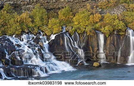 "Hraunfossar, waterfalls of the Hvita river in autumn, near Husafell and Reykholt, Iceland, Europe" View Large Photo Image Stock Photo - "Hraunfossar, waterfalls of the Hvita river in autumn, near Husafell and Reykholt, Iceland, Europe". Fotosearch