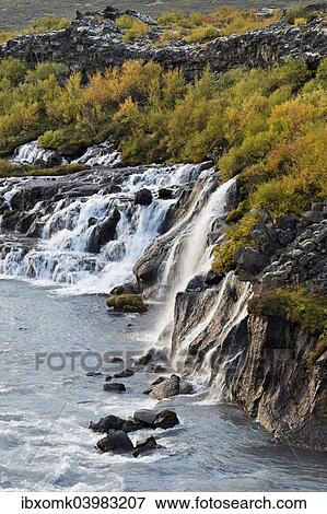 "Hraunfossar, waterfalls of the Hvita river in autumn, near Husafell and Reykholt, Iceland, Europe" View Large Photo Image Stock Photo - "Hraunfossar, waterfalls of the Hvita river in autumn, near Husafell and Reykholt, Iceland, Europe". Fotosearch