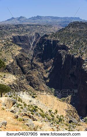 Stock Photography - "Huge canyon at the Dixsam plateau, Socotra, Yemen, Asia". Fotosearch