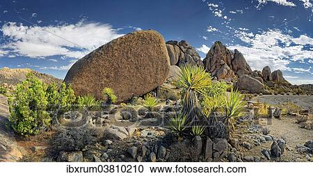 Stock Image - "Huge granite rocks of Split Rocks and green Mojave Yucca or Spanish Dagger (Yucca schidigera), Joshua Tree National Park, Desert Center, California, USA". Fotosearch