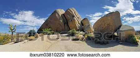 "Huge granite rocks of Split Rocks with a Joshua Tree or Palm Tree Yucca (Yucca brevifolia), Joshua Tree National Park, Desert Center, California, USA" View Large Photo Image Stock Image - "Huge granite rocks of Split Rocks with a Joshua Tree or Palm Tree Yucca (Yucca brevifolia), Joshua Tree National Park, Desert Center, California, USA". Fotosearch