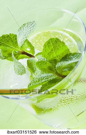 Hugo cocktail with lime and mint View Large Photo Image Stock Photograph - Hugo cocktail with lime and mint. Fotosearch