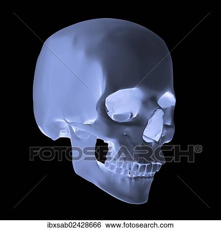 "Human skull, glow effect, 3D illustration" View Large Photo Image Stock Photograph - "Human skull, glow effect, 3D illustration". Fotosearch