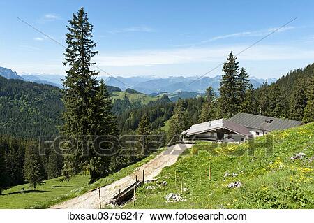 "Hut on the Schreck-Alm alpine pasture, Geigelstein Nature Reserve, Aschau im Chiemgau, Upper Bavaria, Bavaria, Germany, Europe" View Large Photo Image Stock Photo - "Hut on the Schreck-Alm alpine pasture, Geigelstein Nature Reserve, Aschau im Chiemgau, Upper Bavaria, Bavaria, Germany, Europe". Fotosearch