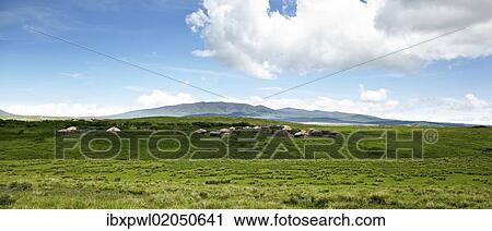"Huts, village of the Maasai, Boma, Ngorongoro Conservation Area, Tanzania, Africa" View Large Photo Image Stock Image - "Huts, village of the Maasai, Boma, Ngorongoro Conservation Area, Tanzania, Africa". Fotosearch