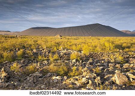 "Hverfell or Hverfjall crater, Dimuborgir lava field, area around Myvatn, Norourland eystra region, or north-east region, Iceland, Europe" View Large Photo Image Stock Image - "Hverfell or Hverfjall crater, Dimuborgir lava field, area around Myvatn, Norourland eystra region, or north-east region, Iceland, Europe". Fotosearch