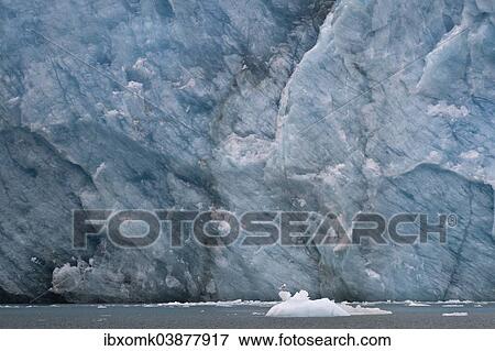 "Ice at the glacier edge, Waggonway Glacier, Magdalenefjorden, Spitsbergen, Svalbard Islands, Svalbard and Jan Mayen, Norway, Europe" View Large Photo Image Stock Photo - "Ice at the glacier edge, Waggonway Glacier, Magdalenefjorden, Spitsbergen, Svalbard Islands, Svalbard and Jan Mayen, Norway, Europe". Fotosearch