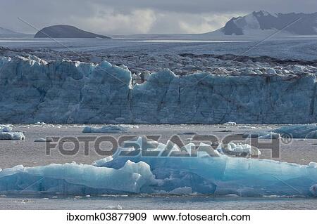 "Ice drifting in the sea, Kongsbreen Glacier, Kongsfjorden, Spitsbergen, Svalbard Islands, Svalbard and Jan Mayen, Norway, Europe" View Large Photo Image Stock Photo - "Ice drifting in the sea, Kongsbreen Glacier, Kongsfjorden, Spitsbergen, Svalbard Islands, Svalbard and Jan Mayen, Norway, Europe". Fotosearch