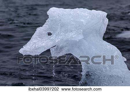 "Ice floe, Jokulsarlon, Iceland, Europe" View Large Photo Image Stock Image - "Ice floe, Jokulsarlon, Iceland, Europe". Fotosearch