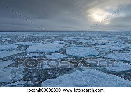 "Ice floes, edge of pack-ice, Arctic Ocean, Spitsbergen Island, Svalbard Archipelago, Svalbard and Jan Mayen, Norway, Europe" View Large Photo Image Stock Image - "Ice floes, edge of pack-ice, Arctic Ocean, Spitsbergen Island, Svalbard Archipelago, Svalbard and Jan Mayen, Norway, Europe". Fotosearch