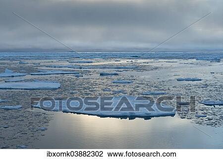 "Ice floes, edge of pack-ice, Arctic Ocean, Spitsbergen Island, Svalbard Archipelago, Svalbard and Jan Mayen, Norway, Europe" View Large Photo Image Stock Image - "Ice floes, edge of pack-ice, Arctic Ocean, Spitsbergen Island, Svalbard Archipelago, Svalbard and Jan Mayen, Norway, Europe". Fotosearch