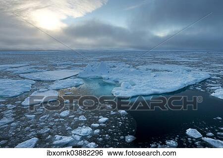 "Ice floes, edge of pack-ice, Arctic Ocean, Spitsbergen Island, Svalbard Archipelago, Svalbard and Jan Mayen, Norway, Europe" View Large Photo Image Stock Photograph - "Ice floes, edge of pack-ice, Arctic Ocean, Spitsbergen Island, Svalbard Archipelago, Svalbard and Jan Mayen, Norway, Europe". Fotosearch