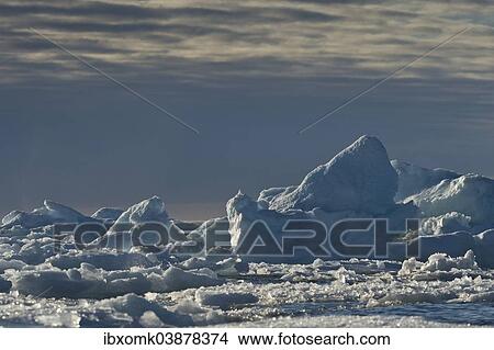 "Ice floes, edge of the pack ice, Arctic Ocean, Spitsbergen, Svalbard Islands, Svalbard and Jan Mayen, Norway, Europe" View Large Photo Image Picture - "Ice floes, edge of the pack ice, Arctic Ocean, Spitsbergen, Svalbard Islands, Svalbard and Jan Mayen, Norway, Europe". Fotosearch