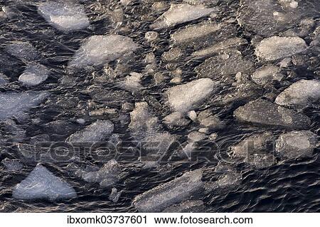 "Ice floes, edge of the pack ice, Arctic Ocean, Spitsbergen Island, Svalbard Archipelago, Svalbard and Jan Mayen, Norway, Europe" View Large Photo Image Stock Image - "Ice floes, edge of the pack ice, Arctic Ocean, Spitsbergen Island, Svalbard Archipelago, Svalbard and Jan Mayen, Norway, Europe". Fotosearch