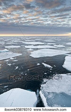 "Ice floes, edge of the pack ice, Arctic Ocean, Spitsbergen, Svalbard Islands, Svalbard and Jan Mayen, Norway, Europe" View Large Photo Image Stock Image - "Ice floes, edge of the pack ice, Arctic Ocean, Spitsbergen, Svalbard Islands, Svalbard and Jan Mayen, Norway, Europe". Fotosearch