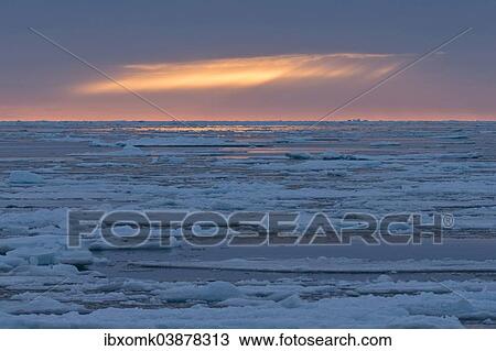 "Ice floes, edge of the pack ice, Arctic Ocean, Spitsbergen, Svalbard Islands, Svalbard and Jan Mayen, Norway, Europe" View Large Photo Image Stock Image - "Ice floes, edge of the pack ice, Arctic Ocean, Spitsbergen, Svalbard Islands, Svalbard and Jan Mayen, Norway, Europe". Fotosearch