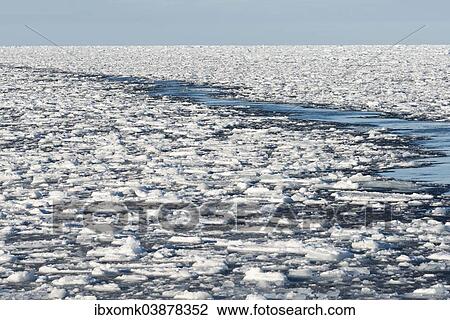 "Ice floes, edge of the pack ice, Arctic Ocean, Spitsbergen, Svalbard Islands, Svalbard and Jan Mayen, Norway, Europe" View Large Photo Image Stock Image - "Ice floes, edge of the pack ice, Arctic Ocean, Spitsbergen, Svalbard Islands, Svalbard and Jan Mayen, Norway, Europe". Fotosearch