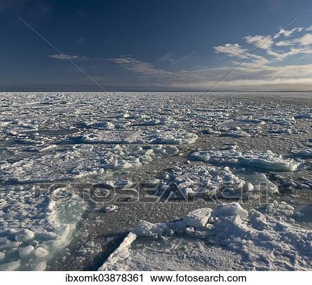 "Ice floes, edge of the pack ice, Arctic Ocean, Spitsbergen, Svalbard Islands, Svalbard and Jan Mayen, Norway, Europe" View Large Photo Image Stock Image - "Ice floes, edge of the pack ice, Arctic Ocean, Spitsbergen, Svalbard Islands, Svalbard and Jan Mayen, Norway, Europe". Fotosearch