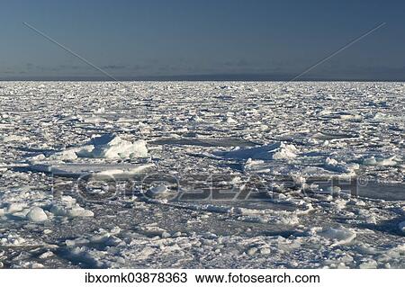 "Ice floes, edge of the pack ice, Arctic Ocean, Spitsbergen, Svalbard Islands, Svalbard and Jan Mayen, Norway, Europe" View Large Photo Image Stock Image - "Ice floes, edge of the pack ice, Arctic Ocean, Spitsbergen, Svalbard Islands, Svalbard and Jan Mayen, Norway, Europe". Fotosearch