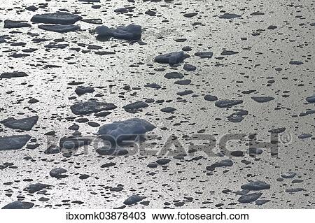 "Ice floes, edge of the pack ice, Arctic Ocean, Spitsbergen, Svalbard Islands, Svalbard and Jan Mayen, Norway, Europe" View Large Photo Image Stock Image - "Ice floes, edge of the pack ice, Arctic Ocean, Spitsbergen, Svalbard Islands, Svalbard and Jan Mayen, Norway, Europe". Fotosearch
