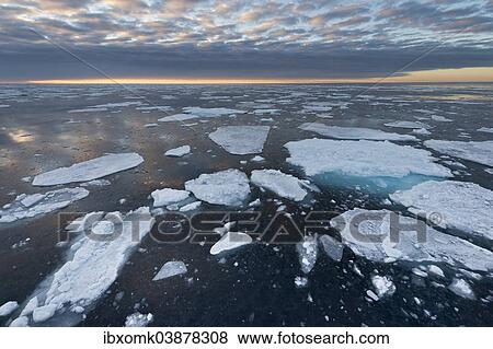 "Ice floes, edge of the pack ice, Arctic Ocean, Spitsbergen, Svalbard Islands, Svalbard and Jan Mayen, Norway, Europe" View Large Photo Image Stock Photo - "Ice floes, edge of the pack ice, Arctic Ocean, Spitsbergen, Svalbard Islands, Svalbard and Jan Mayen, Norway, Europe". Fotosearch