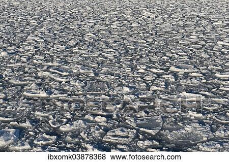"Ice floes, edge of the pack ice, Arctic Ocean, Spitsbergen, Svalbard Islands, Svalbard and Jan Mayen, Norway, Europe" View Large Photo Image Stock Photo - "Ice floes, edge of the pack ice, Arctic Ocean, Spitsbergen, Svalbard Islands, Svalbard and Jan Mayen, Norway, Europe". Fotosearch