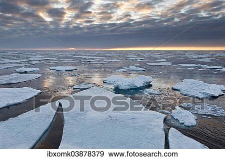 "Ice floes, edge of the pack ice, Arctic Ocean, Spitsbergen, Svalbard Islands, Svalbard and Jan Mayen, Norway, Europe" View Large Photo Image Stock Photo - "Ice floes, edge of the pack ice, Arctic Ocean, Spitsbergen, Svalbard Islands, Svalbard and Jan Mayen, Norway, Europe". Fotosearch